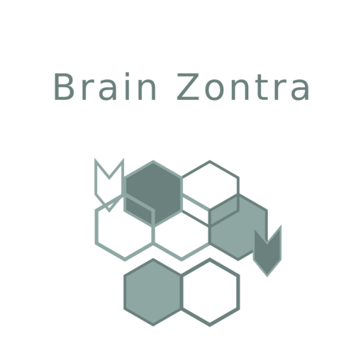 Brain Zontra Logo
